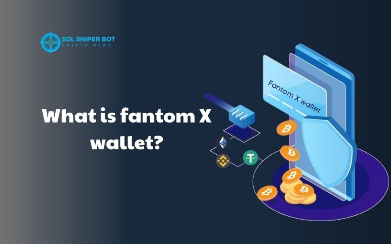 Fantom X wallet